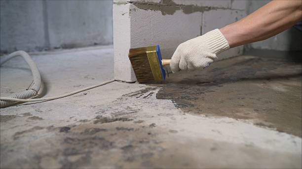 Top rated local Waterproofing specialists in Mount Freedom, NJ